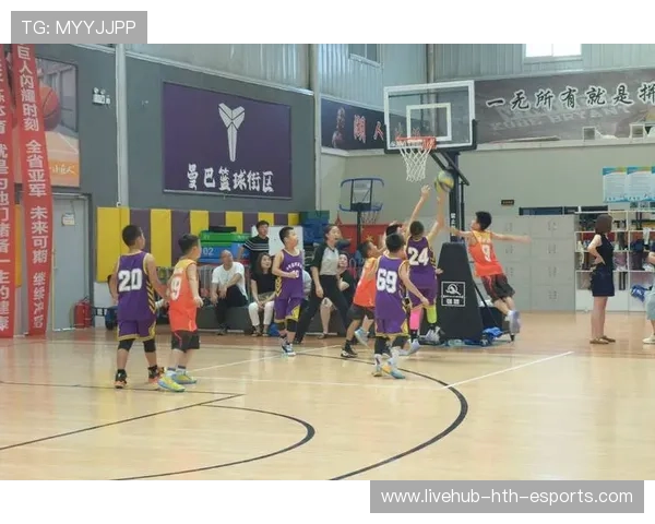 支持传统体育项目内容创意化转型的传播平台，传统体育项目的概念