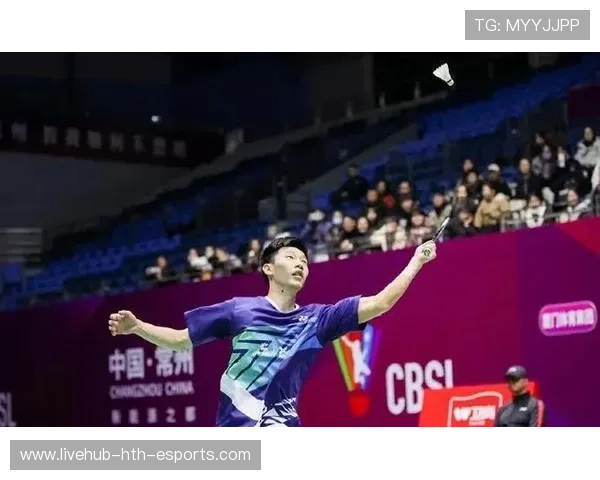 新闻中心国内联赛羽毛球表现解析，赛事羽毛球