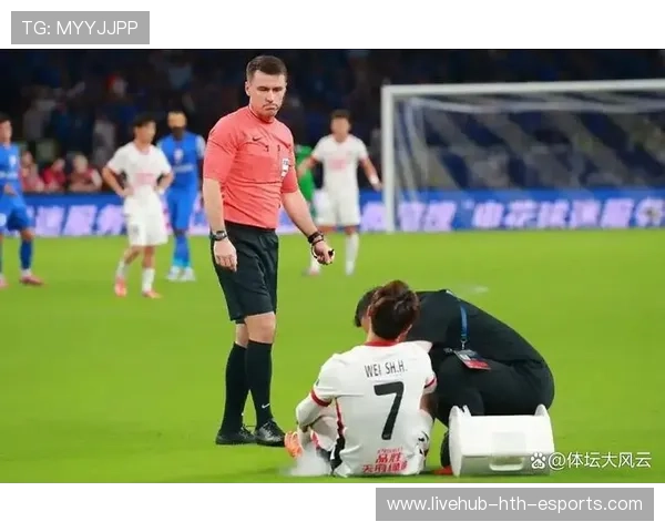 足协裁判参考FIFA意见，申花球员未犯规成立，足协裁判参考fifa意见,申花球员未犯规成立吗